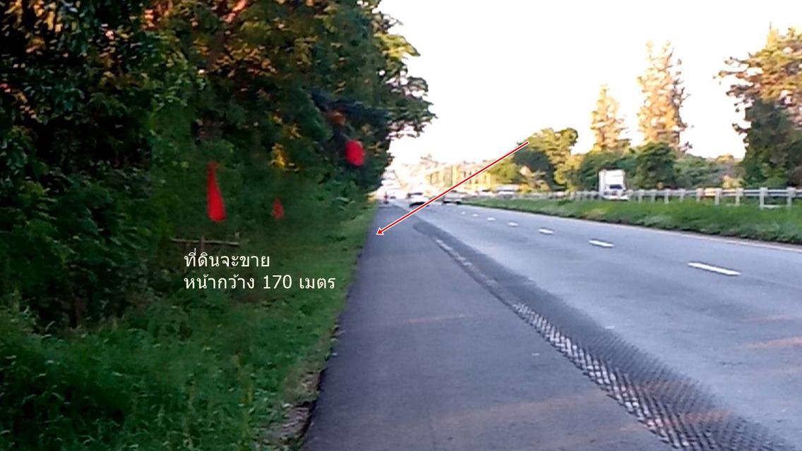 ขายที่ดิน 42 ไร่เศษ ติดถนนใหญ่สายมิตรภาพ ห่างขอนแก่น 60 กมห่างนครราชสีมา130 กม หน้ากว้าง170เมตร  2