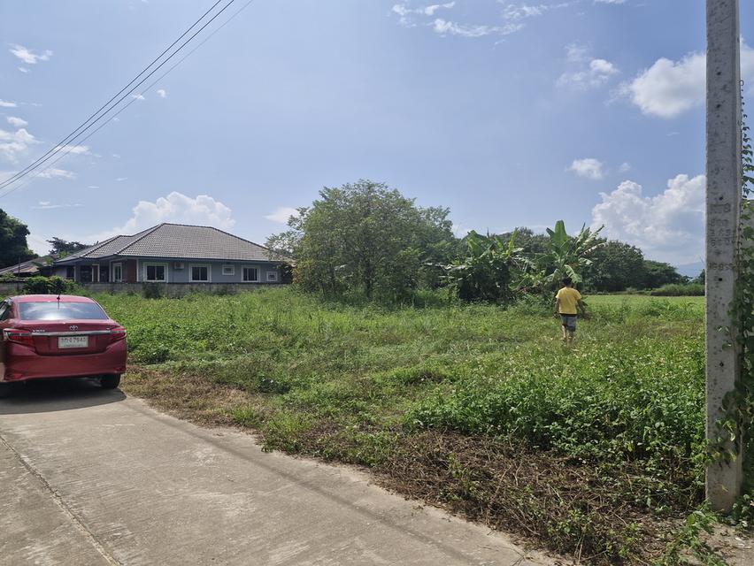 ขายที่ดินทำเลทองเมืองเชียงราย 1