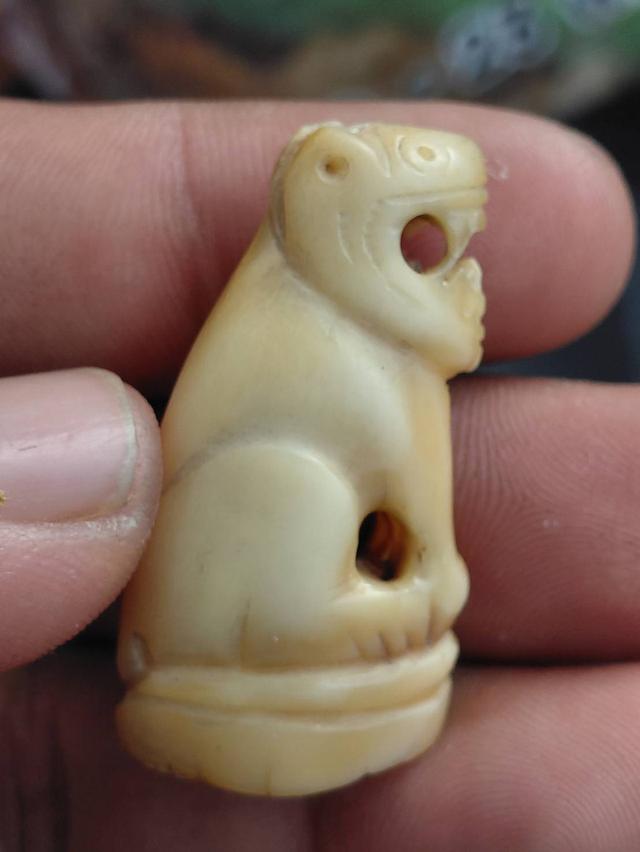 เขี้ยวเสือแกะ (เลี่ยมกรอบ) รูปที่ 2