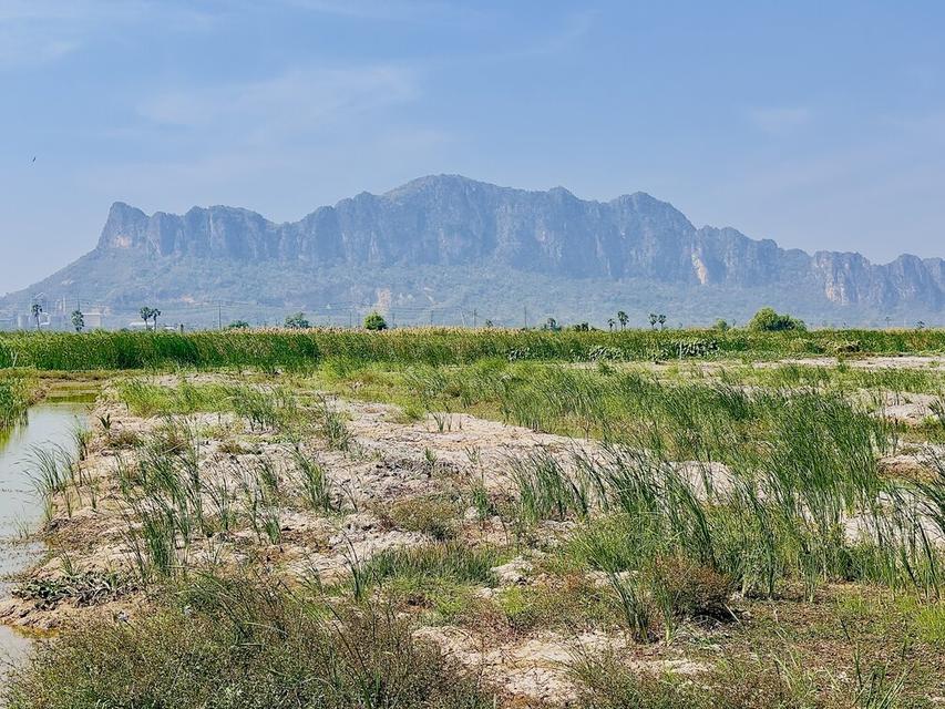 ขายต่ำกว่าราคาประเมิน ที่ดิน วิวภูเขา ใกล้หาดชะอำ เนื้อทึ่ 16-1-84 ไร่ ถนนเพชรเกษม ตำบลชะอำ อำเภอชะอำ จังหวัดเพชรบบุรี 13