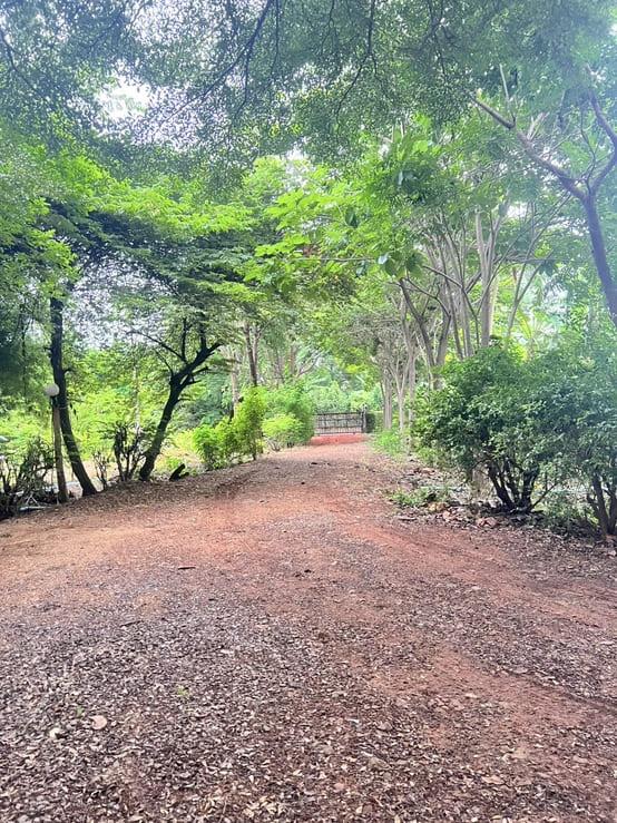 ขาย บ้านสวน 4 ไร่ 2 งาน ตำบลซับจำปา อำเภอท่าหลวง จังหวัดลพบุรี 6