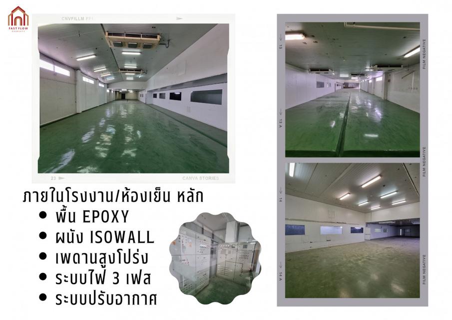 ขาย โรงงาน ขาย ที่ดิน พร้อมโรงงาน ห้องเย็น กำแพงแสน 1800 ตรม 2 ไร่ 3 งาน 46 ตรว 4