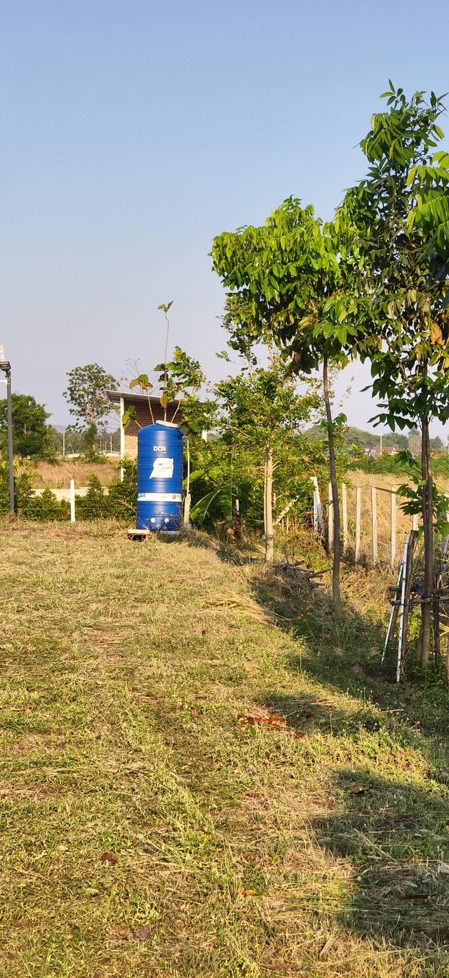 ที่ดินสวน เลาขวัญ กาญจนบุรี 8