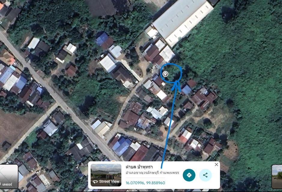 ขายที่ดิน/ให้เช่าที่ดิน ขนาดที่ดิน 150 ตารางวา ใกล้แหล่งชุมชน โรงเรียน ที่ว่าการอำเภอ สถานีตำรวจ ตลาด อนาคตมีโครงการก่อสร้างทางรถไฟ (สถานีป่าพุทรา) 16