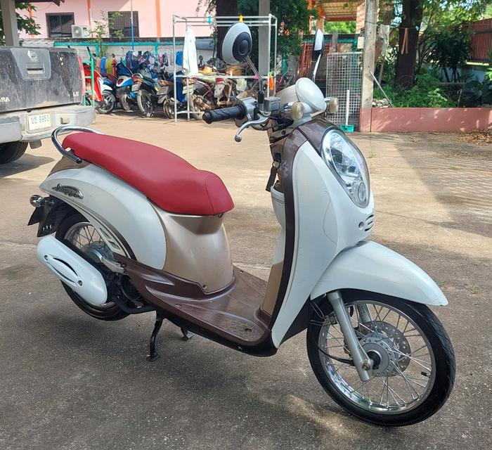 scooy i