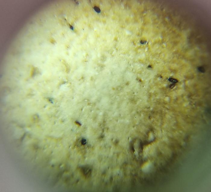 พระสมเด็จ 12