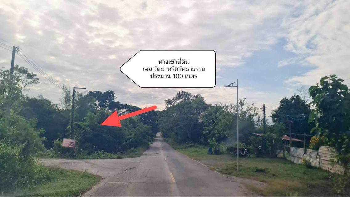 ที่ดินอุดรธานี 5 ไร่ 21 ตารางวา 4