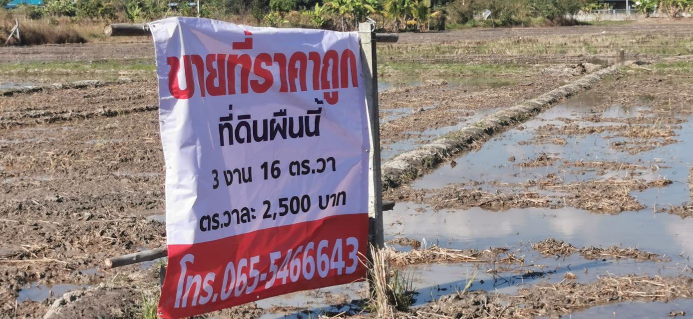 ขายที่ดินถูกหลังตลาดแม่มาลัย 2