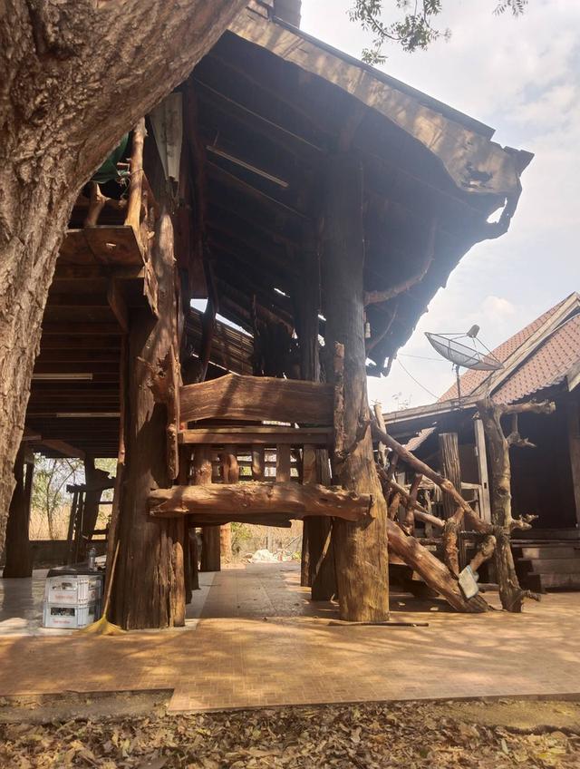 ขายบ้านพร้อมที่ดิน 3
