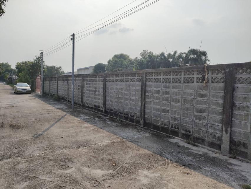 ให้เช่าที่ดินเปล่าถมแล้วในถนนมัยลาภ กรุงเทพมหานคร 3