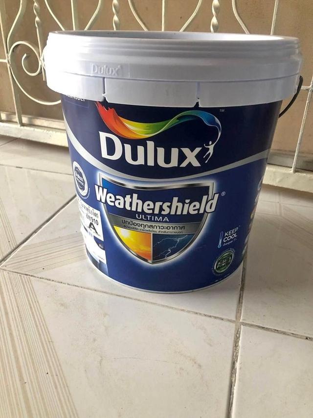 สีทาบ้าน Dulux 3