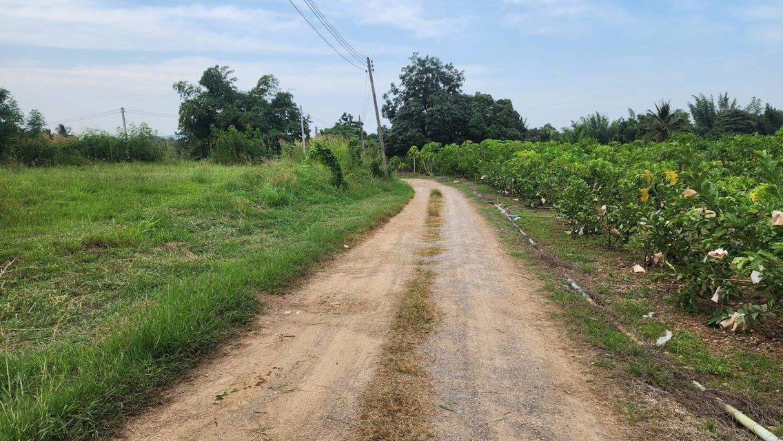 ขายที่ดิน จอมบึง หมู่บ้านซอนต้า จ.ราชบุรี ใกล้อ่างเก็บน้ำซอนต้า บรรยากาศดี 6