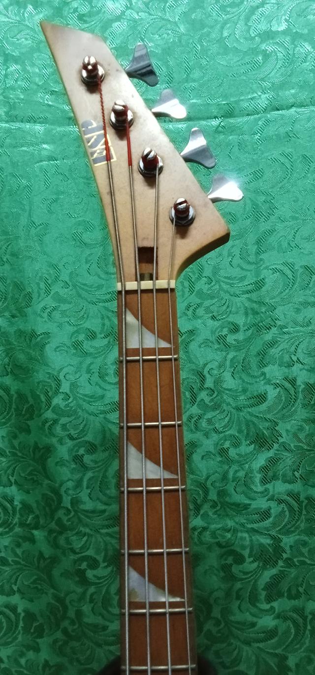 Bass ESP 13