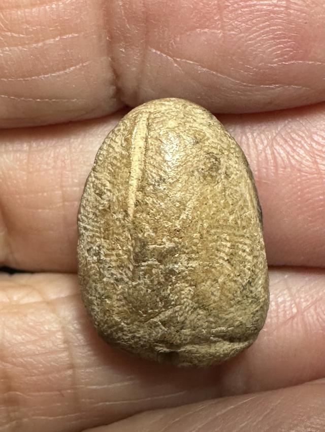 ลูกแป้งกำแพงแท้ เนื้อละเอียด มีนวลดินตามซอกเดิม รูปที่ 2