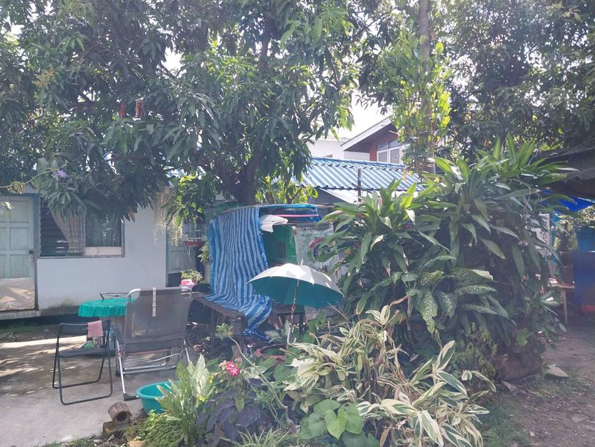 ขายบ้านที่ดินพร้อมกิจการบ้านและห้องเช่าย่านจรัญฯ 4