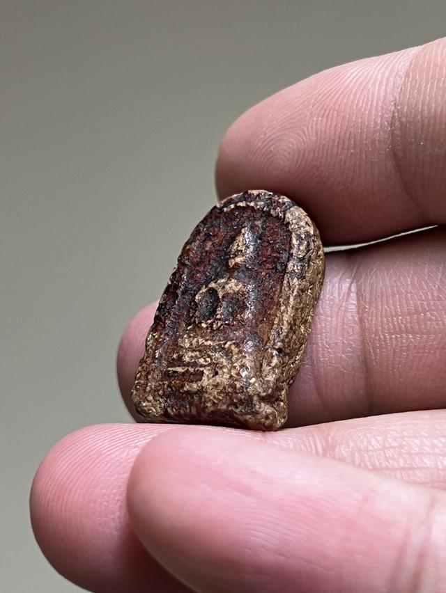 พระเนื้อผงจุ่มรักเก่า รูปที่ 6