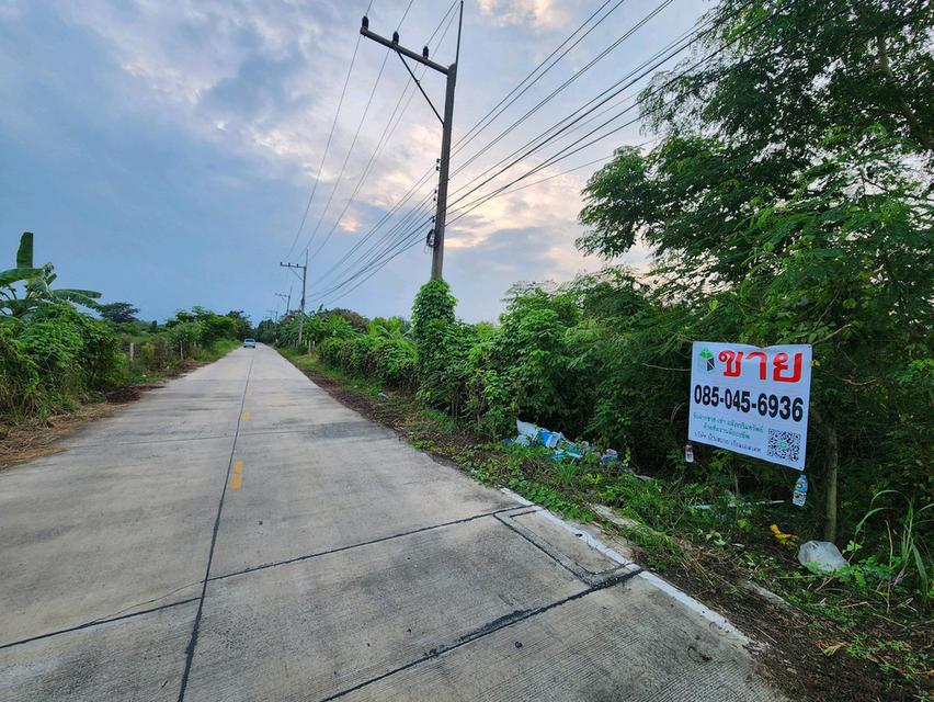 ขายที่ดิน รังสิต นครนายก คลอง7 แปลงสวย ขนาด1 ไร่เต็ม หนองเสือ- ซ.บึงบอน 10 ทำเลดีในราคาจับต้องได้ ✨ เพียง 1.5ล้านบาท 9