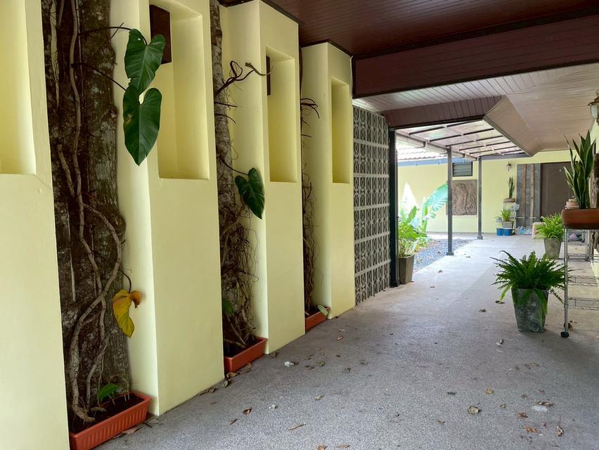 รีสอร์ทจังหวัดกระบี่ ใกล้อ่าวนางพร้อมเปิดกิจการ 6