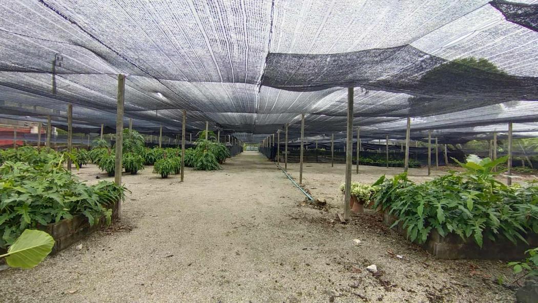 ให้เช่า ที่ดิน ราชพฤกษ์ นนทบุรี ทำเลดี 1-3-0 ไร่ เหมาะทำโกดัง 1