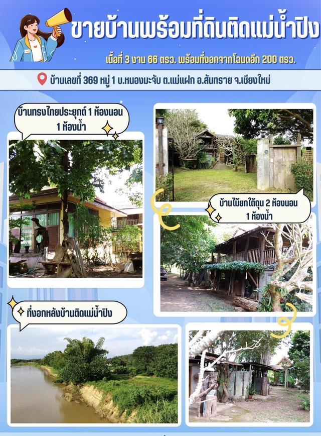 ขายที่ดินพร้อมสิ่งปลูกสร้าง อำเภอสันทราย จังหวัดเชียงใหม่ เนื้อที่ 3 งาน 48 ตารางวา 1