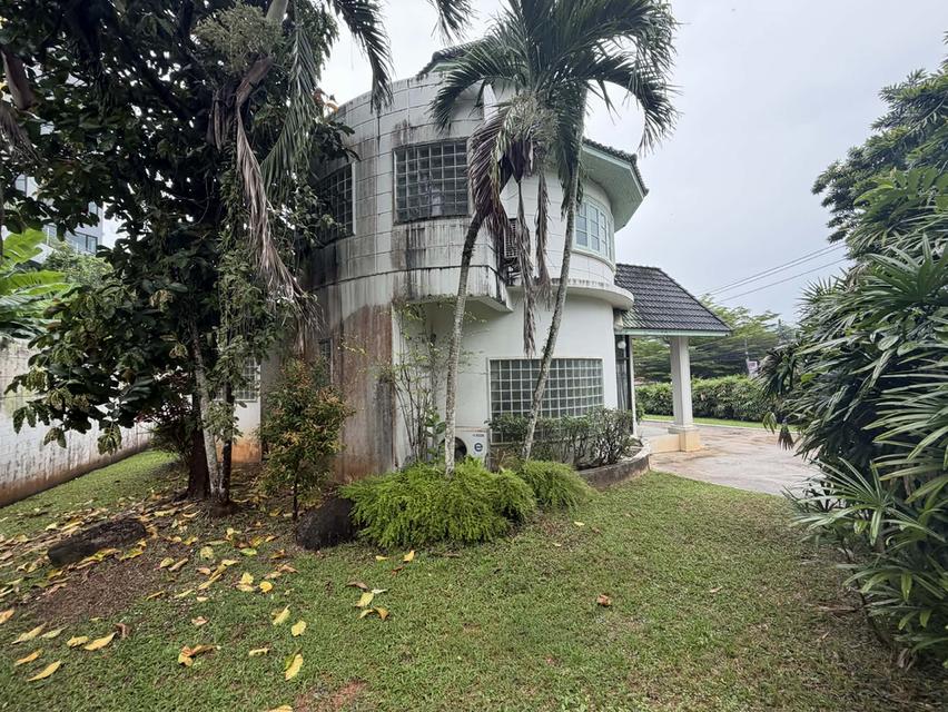 Spacious Land with Detached Home in Central Phuket – Large Garden & 4-Car Parking 14