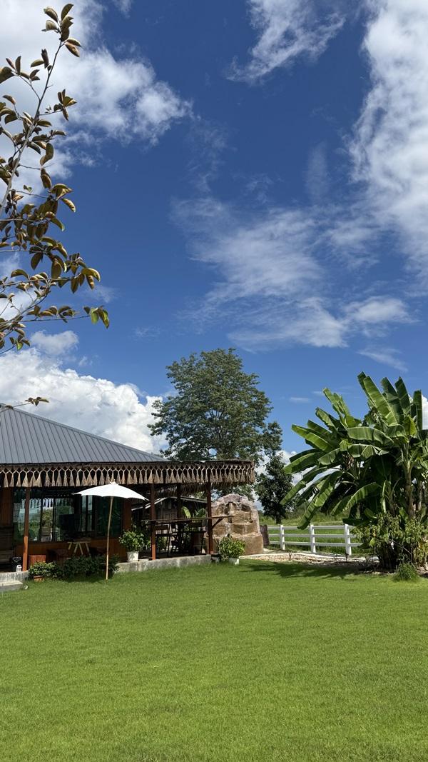 ขายกิจการร้านกาแฟ สระว่ายน้ำ วิลล่า 4 หลัง อ.แม่ริม จ.เชียงใหม่ พร้อมบริหารกิจการต่อได้เลย โทร 088-9162454 13