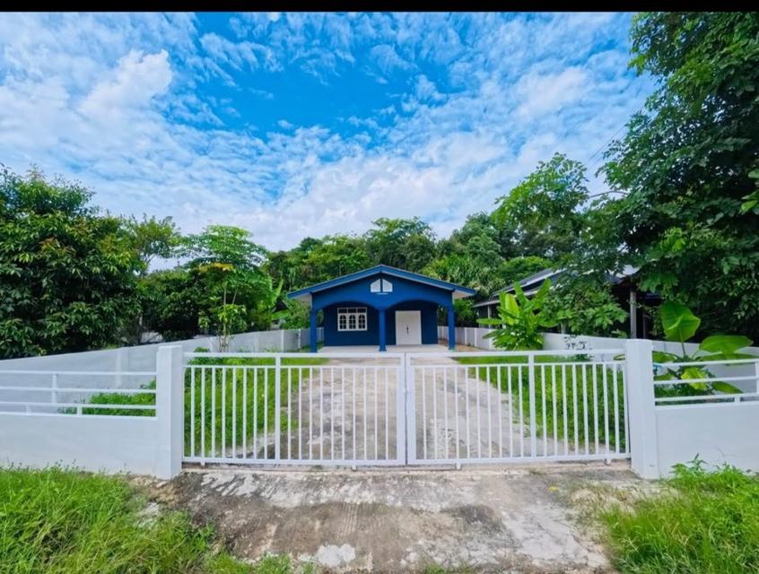 ขายบ้านเดี่ยวชั้นเดี่ยว  รีโนเวทใหม่ ทำเลดี อยู่ท่ามกลางธรรมชาติ อำเภอบ้านค่าย จังหวัดระยอง 1