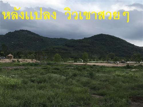 ที่ดิน ราคาถูก ๆราคานี้ หาไม่ได้เเล้ว  โฉนดครุฑเเดง 5