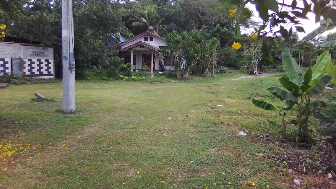 ที่ดินบ้านสวน มุกดาหาร 7