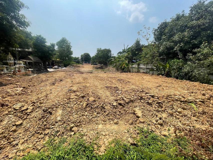 ขายที่ดินบางปะหัน ตำบลเสาธง ใกล้ถนน347 2