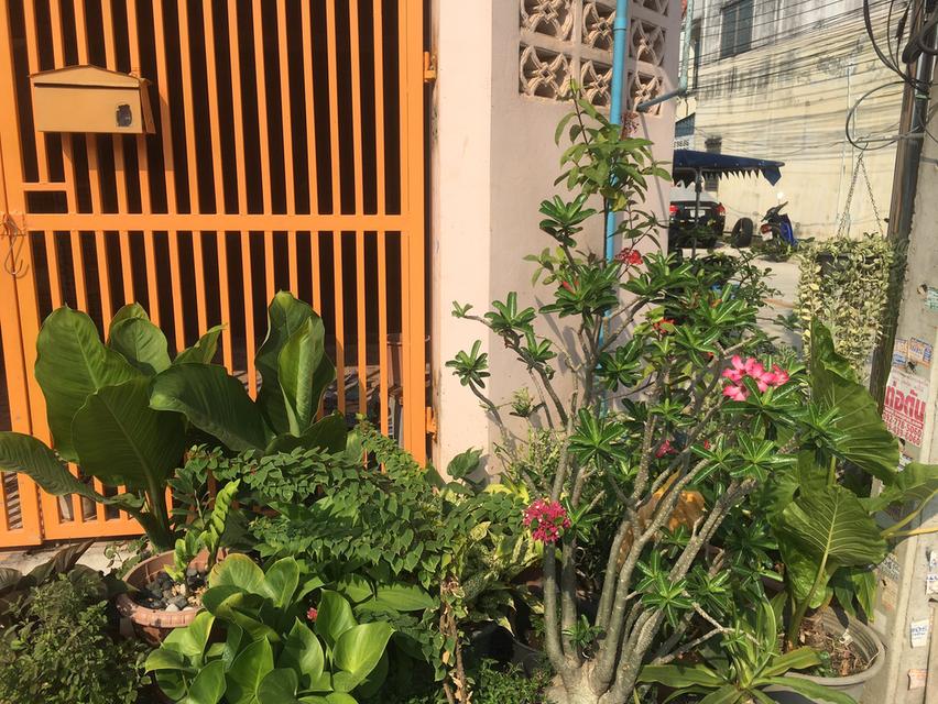 ขายบ้าน ทาวน์เฮ้าส์ 2 ห้องนอน 2 ห้องน้ำ 4