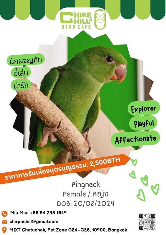Chirp and Chill