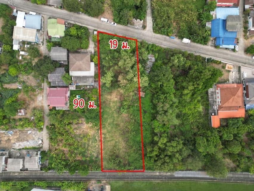 L893 ขายที่ดิน 443 ตรว ผังสีม่วง ใกล้นิคมอุตสาหกรรมบางกะดี บางพูน ปทุมธานี 3