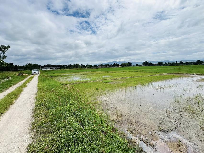 ขายที่ดิน เชียงราย ติดน้ำพุร้อนทุ่งทวี 6