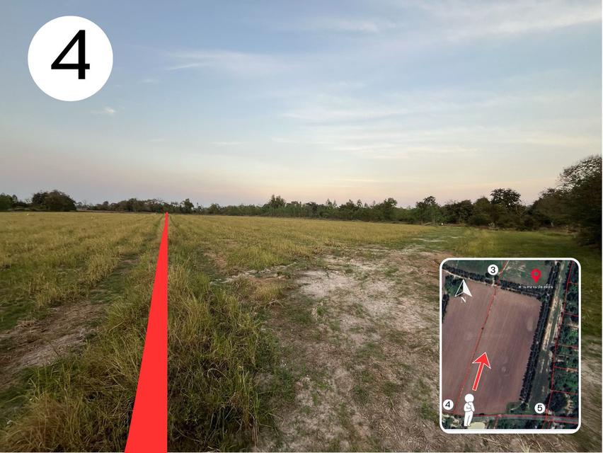 📌 ที่ดิน 26 ไร่ อำเภอดอนเจดีย์ จังหวัดสุพรรณบุรี 7