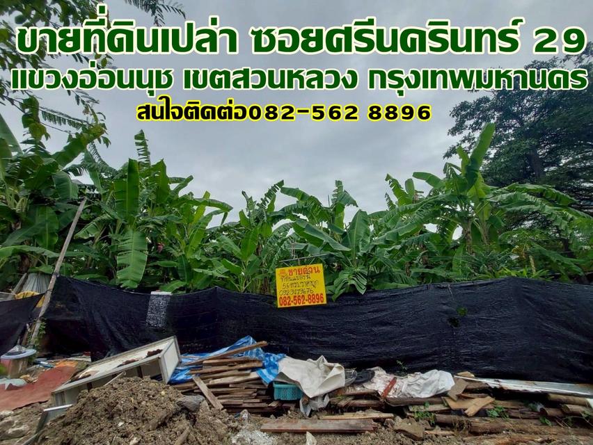 ขายที่ดินเปล่า ซอยศรีนครินทร์ 29 สวนหลวง กรุงเทพมหานคร 1