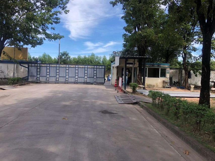 ให้เช่า/ขายโรงงาน โกดัง 31 ไร่ ปราจีนบุรี พร้อมใบอนุญาติประกอบกิจการ ทำเลดี ถนนสายกบินทร์บุรี-ปักธงชัย 1