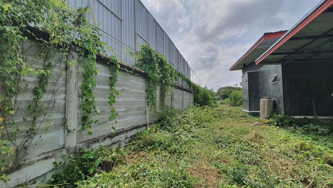 ที่ดินโซน สร้างโรงงานได้ ที่ดินพร้อมบ้านสวน 12.3 ไร่ โซนเจริญ ห้างสรรพสินค้า ทั้งโลตัสและบิ๊กซี 4