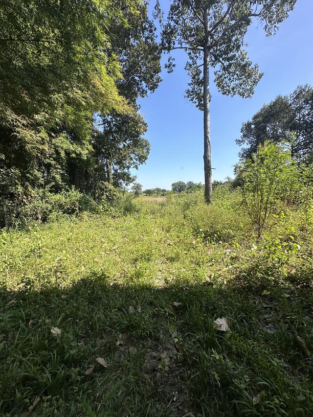 ขายด่วนที่ดินแถมบ้าน อำเภอเมืองอุบลราชธานี ใกล้สนามบินอุบล 14