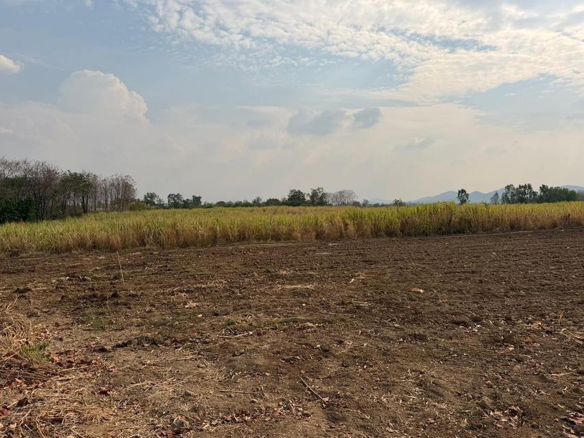 ขายที่ดินติดลำธารที่เพชรบูรณ์ 10