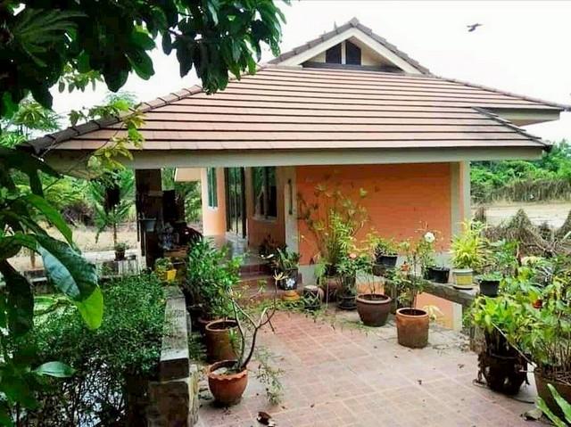 บ้านพร้อมที่ดิน บ้านสวนหลังใหญ่สไตล์รีสอร์ทสามชั้น 2-0-3 ไร่ ต.ป่าป้อง อ.ดอยสะเก็ด 6