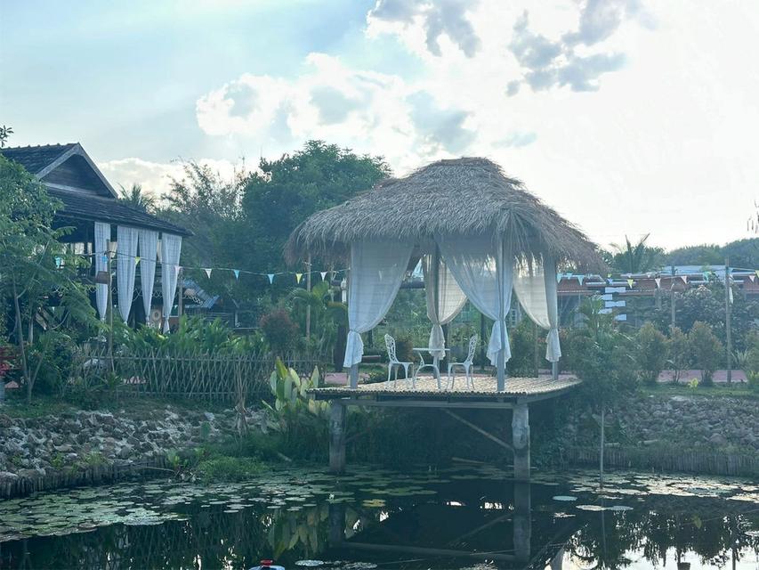 ให้เช่า/ขาย โฮมสเตย์เมืองเชียงราย บรรยากาศโรแมนติค ใกล้ชิดธรรมชาติ แบ่งเป็นบ้านพัก 2 หลัง 684 ตร.วา 5 ห้องนอน 11 ห้องน้ำ ใกล้ไร่เชิญตะวัน 4