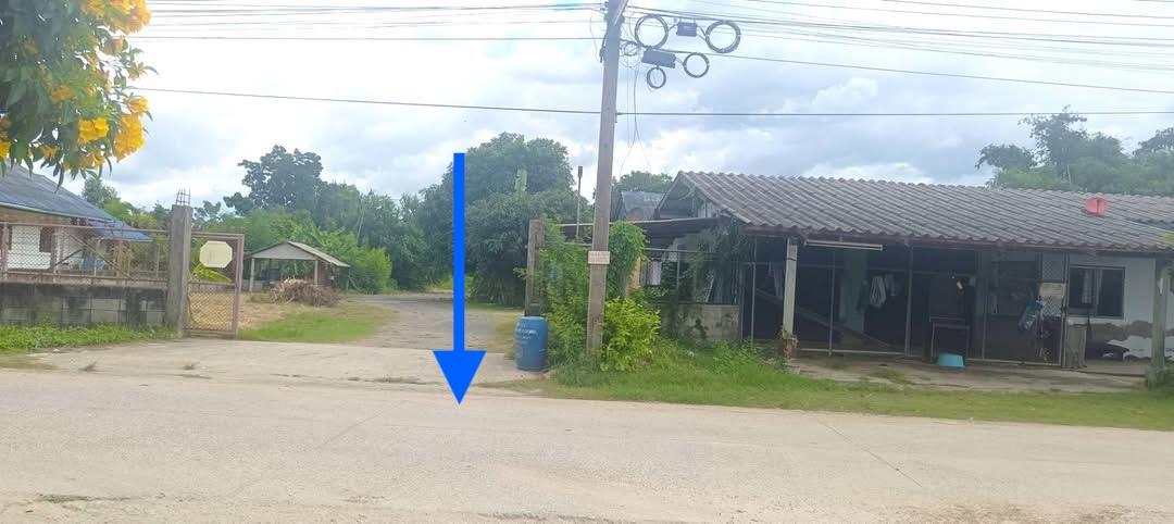 ขายที่ดินทุ่งขวาง พนัสนิคม 9-0-37ไร่ ติดถนนคอนกรีต ซอยทุ่งขวาง 11 ห่างจากถนน ทล.349 ประมาณ 200เมตร 2