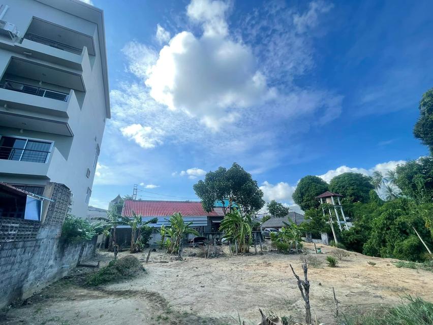 ขายที่ดิน 54 ตรว ราไวย์ ภูเก็ต 1