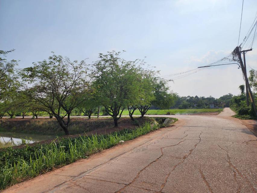 ขายที่ดินเปล่าใกล้เมืองขอนแก่น 5