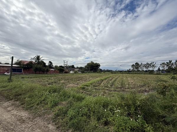 แบ่งขายที่ดิน 14 แปลง ขนาด 75-122 ตารางวา ตั้งอยู่ที่ ตำบลแม่ปูคา อำเภอสันกำแพง จังหวัดเชียงใหม่ (เจ้าของขายเอง) โทร 0806169615 7