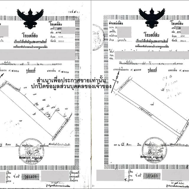 ขายสวนยางผืนใหญ่  อ.แกลง จ.ระยอง เนื้อที่ 80 ไร่ 221 ตร.ว. ติดถนนลาดยาง ใกล้สุขุมวิท 3 กม. 10