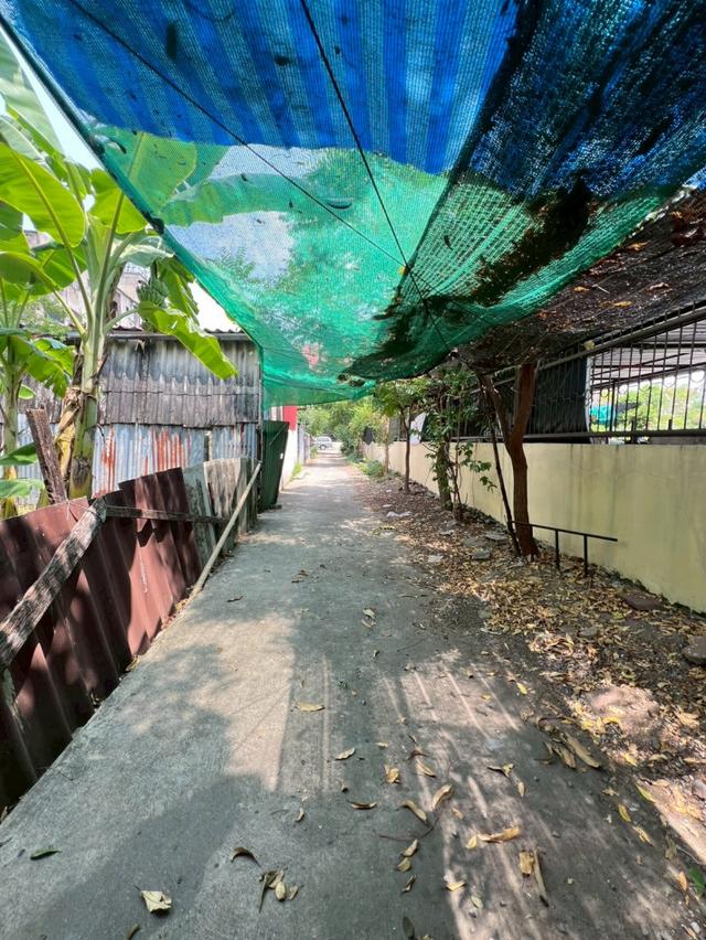 ขาย ที่ดิน ต่ำกว่าราคาตลาด ปลูกบ้านเล็กๆ 68 ตรว ถมแล้ว ถนนวัชรพล ซอยแม่จอน  วัดศิริพงษ์ธรรมนิมิต, กรุงเทพมหานคร 5