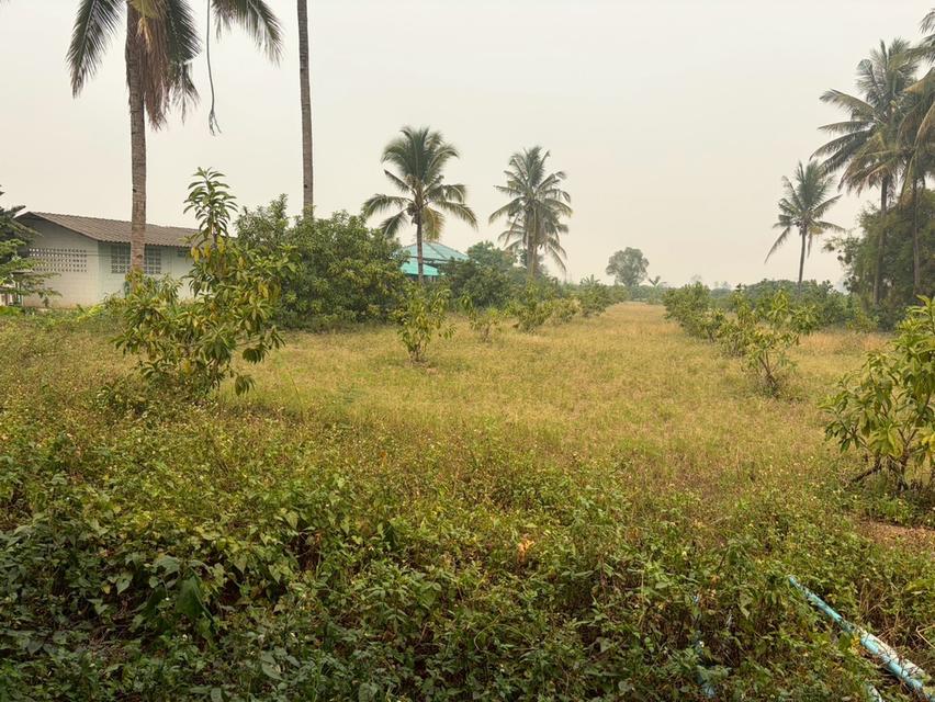 ขายที่ดิน (พร้อมโกดังเก็บของ) รวมเนื้อที่ 2 ไร่ 3งาน  97.3 ตารางวา 5