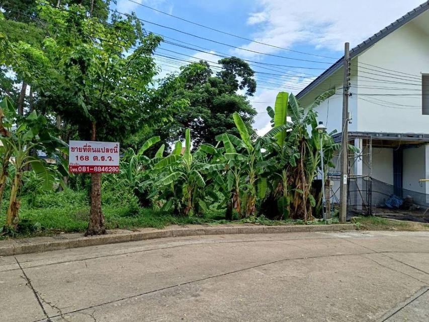 ขายที่ดินเปล่า 168 ตารางวา ในหมู่บ้านกาญจนาลักษณ์ 3  บางกรวย นนทบุรี 3
